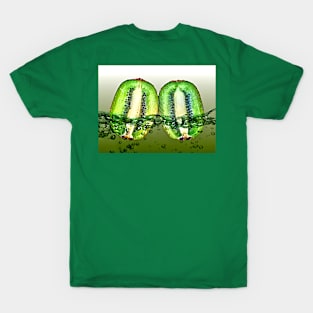 Kiwi in Water T-Shirt